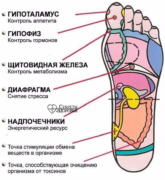 Массаж стоп