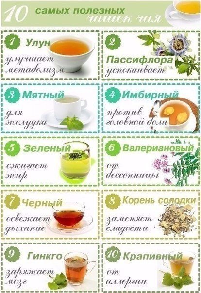 Десять самых полезных чашек чая