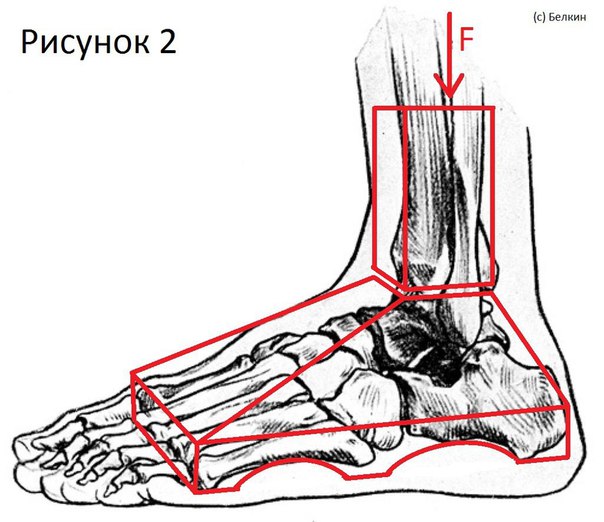 "Точка" опоры в приседаниях со штангой. "Точка" опоры в приседаниях со 1