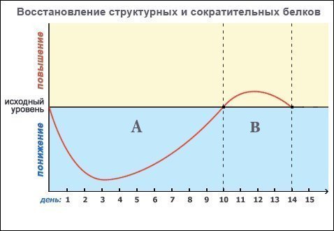 Все о восстановлении