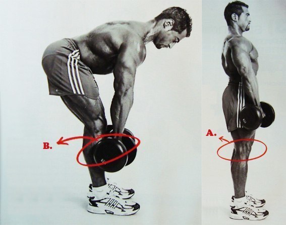 Правильная схема накачки ног. Правильная схема накачки ног 3