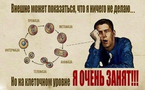 9 отмазок лентяев 